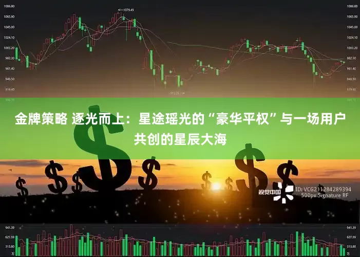 金牌策略 逐光而上：星途瑶光的“豪华平权”与一场用户共创的星辰大海
